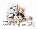 thinking of you