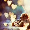 teddy