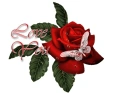 love you
