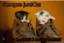 ziempre juntOz !