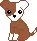 Brown/White Puppie