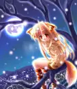Moonlight Fox
