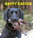 happy easter