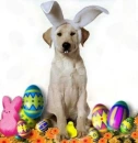 happy easter