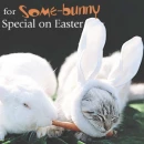 happy easter