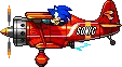 Sonic driving a plane