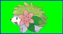 Shaymin banner