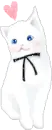 cute cat