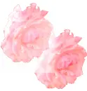 tiled roses
