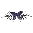 butterfly