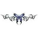 butterfly