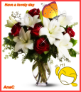 Have a lovely day