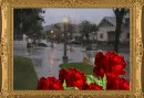 Rainy Day