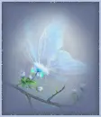 blue butterfly glittered