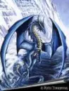 dragons