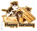 Tuesday