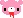 gloomy bear