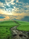 cute scenery
