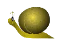 s01