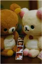 Cute teddy bears