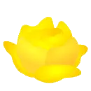 Yellow Rose