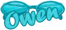 Blue Glitter Sunglasses -Owen-