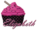 Pink & Black Cupcake -Elizabeth-