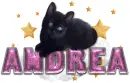 Andrea cute cat pink