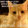 animal abuse