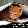 animal abuse
