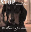 animal abuse