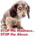 animal abuse