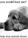 animal abuse