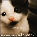 animal abuse
