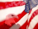 EAGLE USA