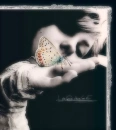 Butterflies in my stomach