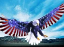 Happy July 4 EAGLE