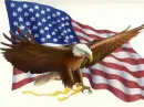  INDEPENDENCE DAY JULY 4