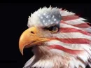 Happy Birthday America.. EAGLE