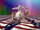 Silver Eagle USA
