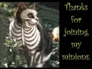 Kitty skeleton :3