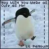 penguin