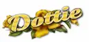 golden rose Dottie
