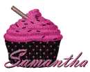 Pink & Black Cupcake -Samantha-