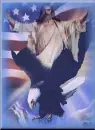 God Bless USA