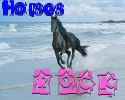 horsey