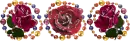 Roses.