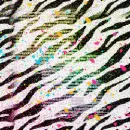 zebra splat