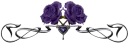 Purple roses Divider