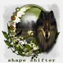 shape shifter